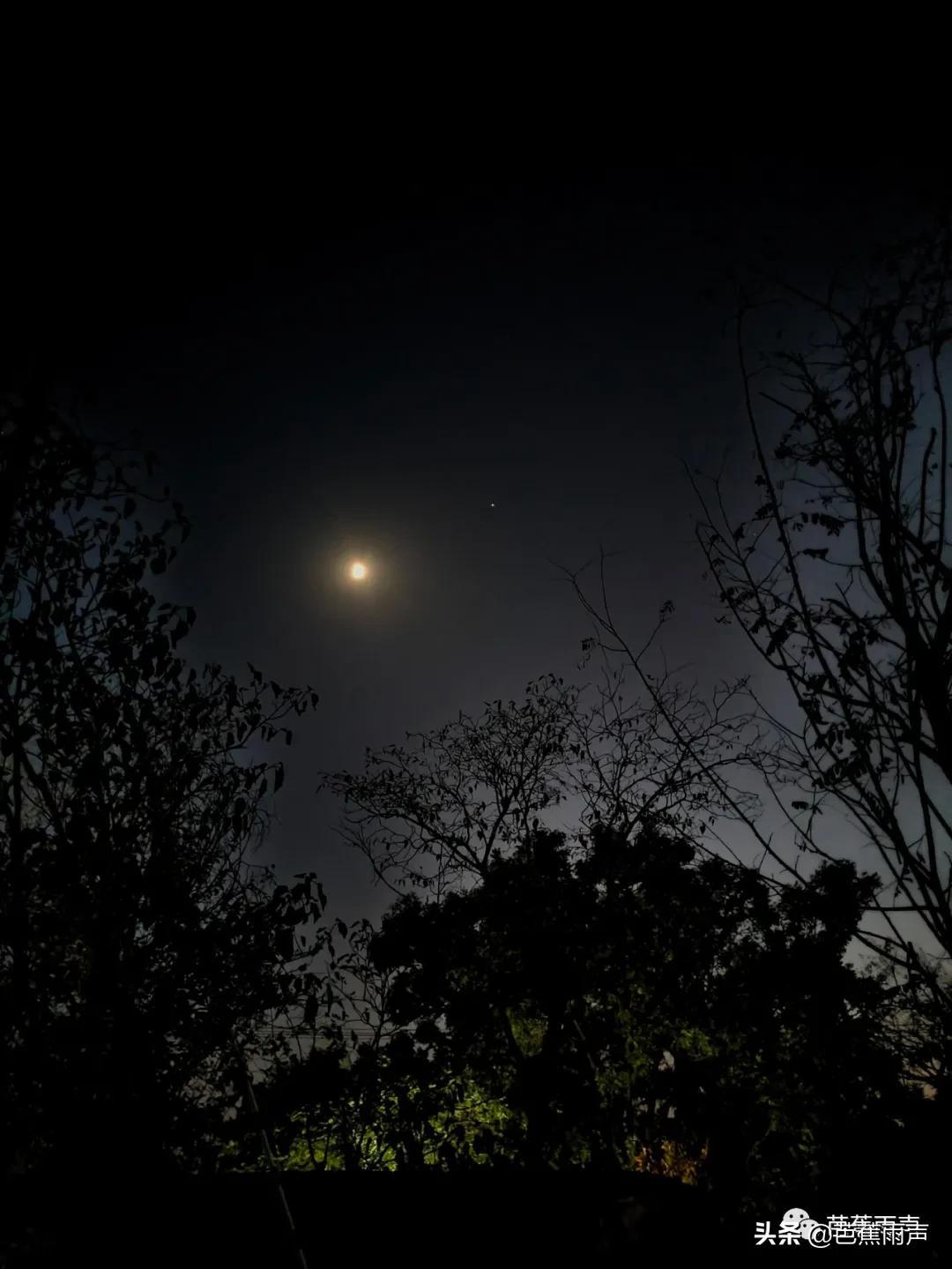 探索天线宝宝中的小星星，童年的温馨与成长的力量