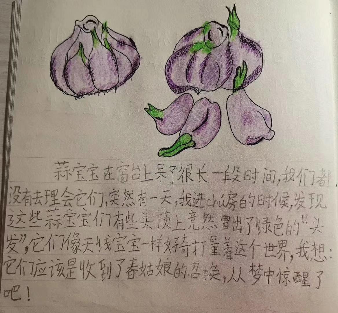 萌趣无限