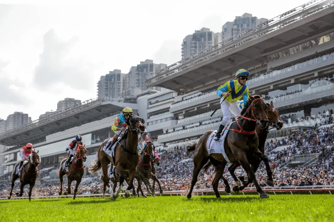 2021年香港马资料