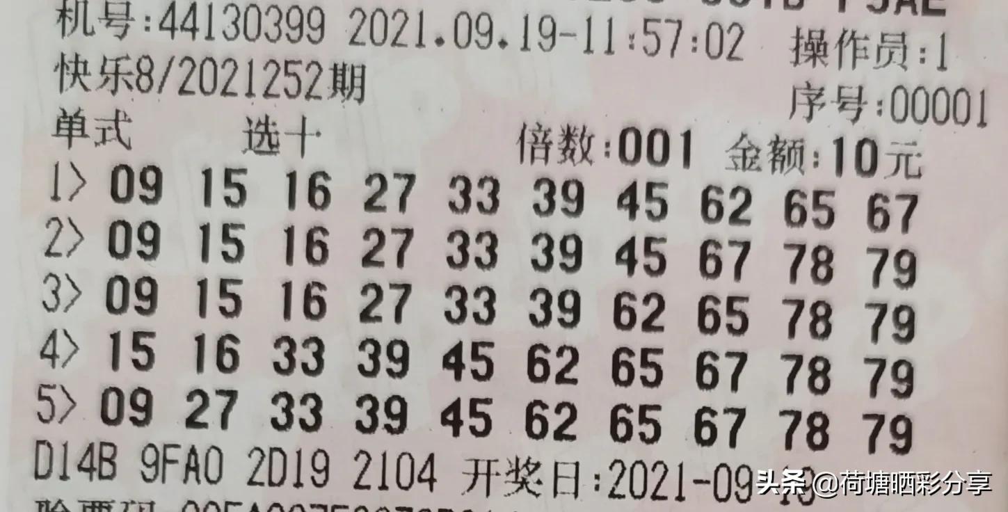 专家高超技艺