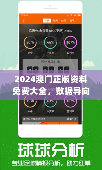 2024澳门精准正版资料63期，揭秘未来趋势与策略