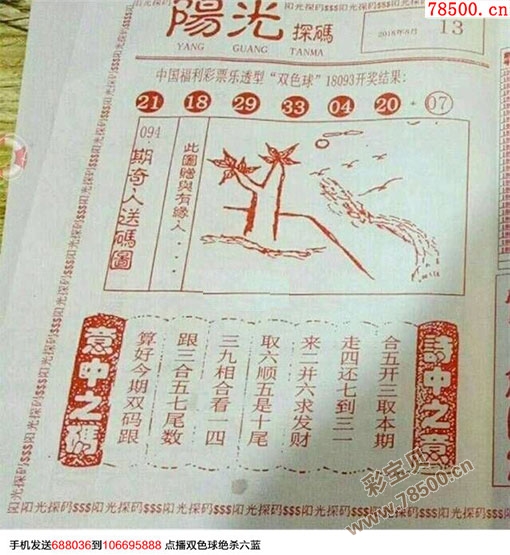 探码图