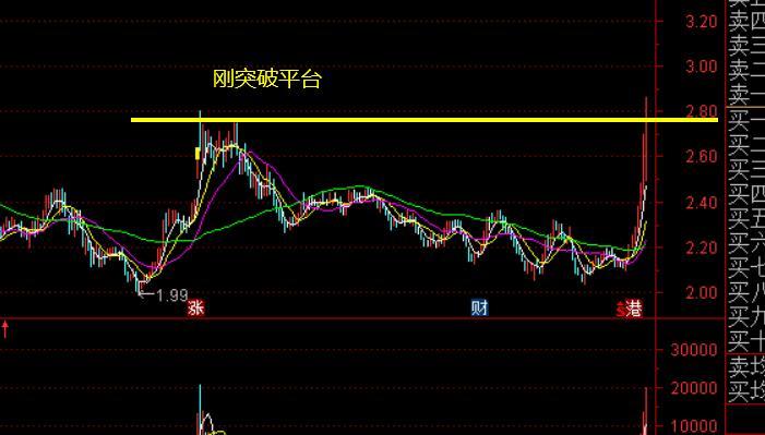 2020澳门特料码特，一场数字与幸运的奇妙碰撞