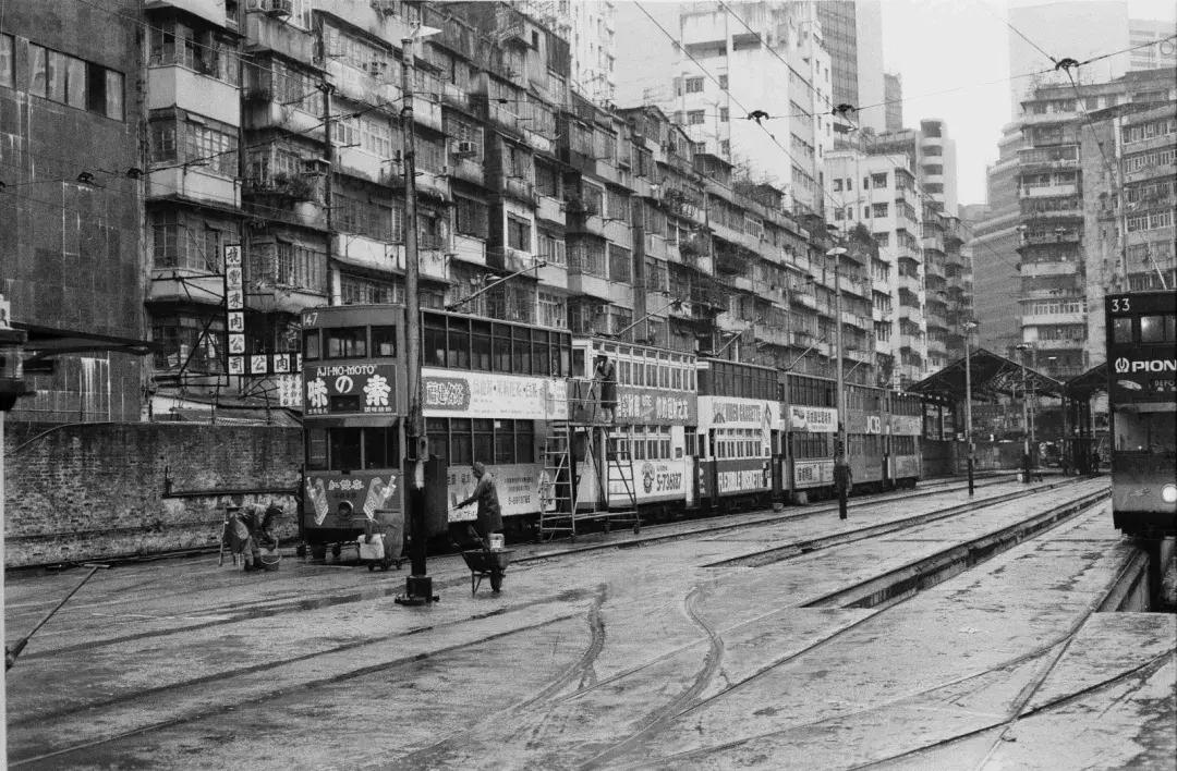 香港本港台，最快直播，尽览港岛风云