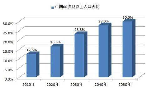 2024香港历史开奖记录65期，回顾与展望