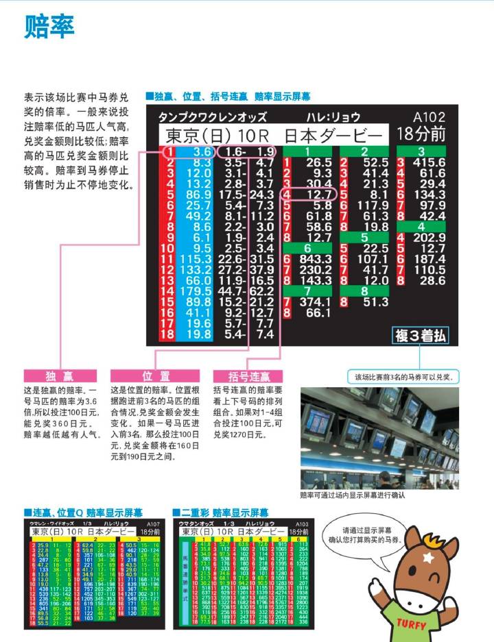 马会传真资料网站论坛，赛马迷的智慧交流平台