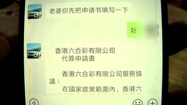 全年记录与深度分析