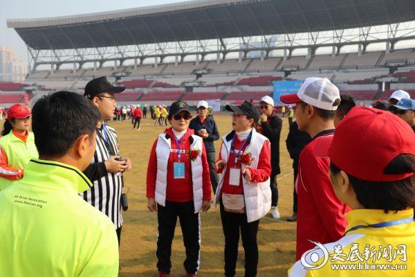 今期香港开奖结果记录，透视彩票文化与公众生活的微妙交织