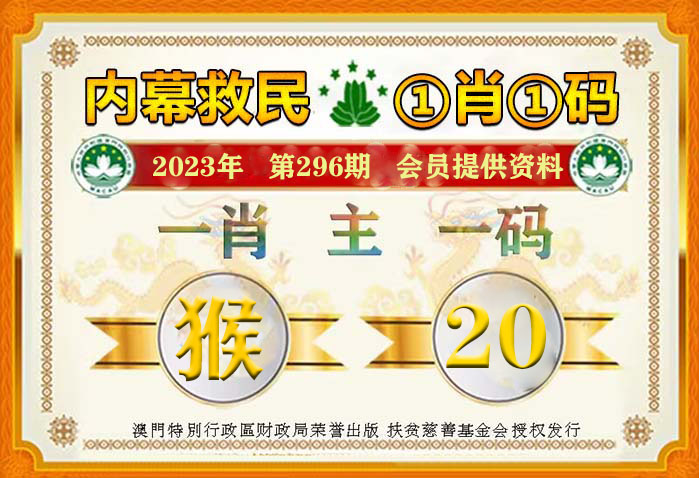 澳门王中王100%资料，2024年预测与解析