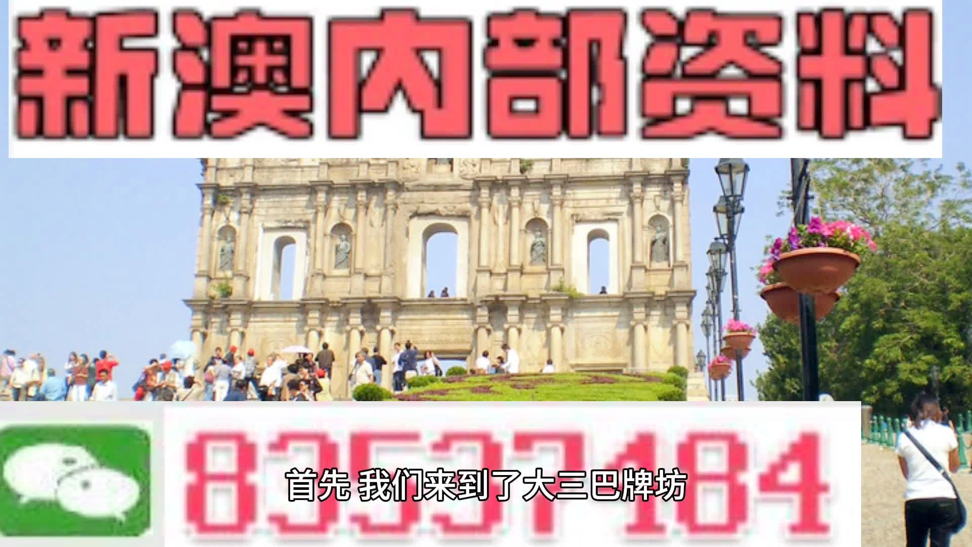 免费公开，新澳2024正版资料大放送