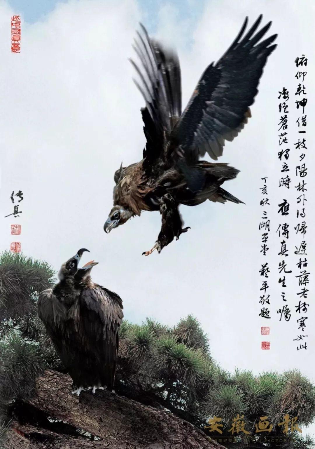 澳门传真