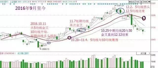 排列5走势图500，解码数字背后的奥秘