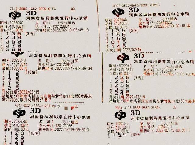 今日福彩3D实票，梦想与现实的交汇点