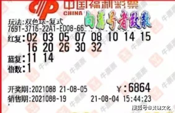 2014年双色球走势分析，南方双彩的独特视角与策略