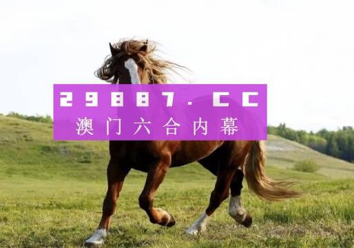 澳门今天开码结果626965，揭秘背后的数字与概率