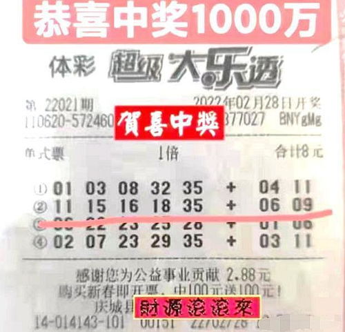 2024福彩3D开奖结果，揭秘数字背后的幸运与期待