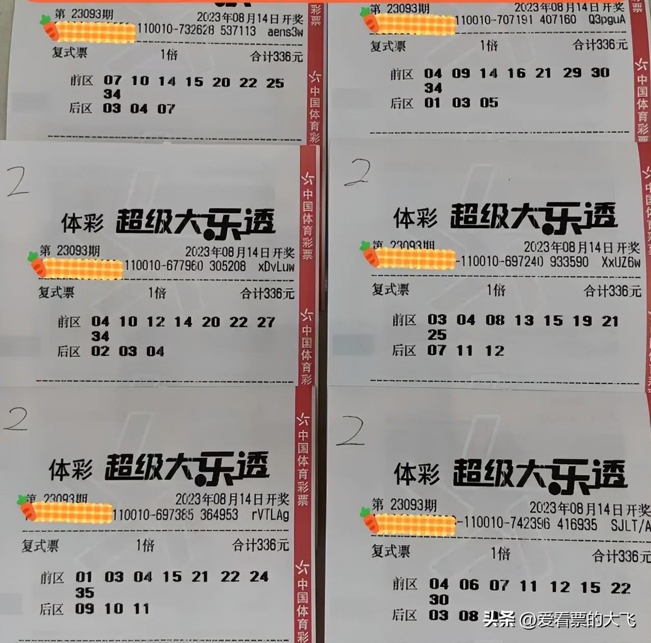 揭秘大乐透开奖结果，新浪网上的数字游戏与幸运追逐