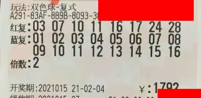 2021年006期双色球开奖结果，梦想与幸运的碰撞