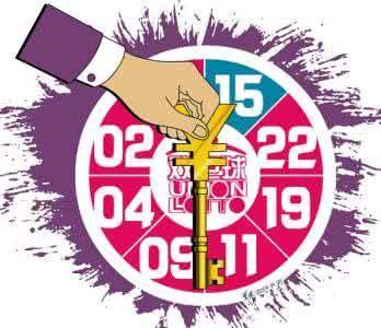 双色球13114期，数字的魔法与梦想的碰撞