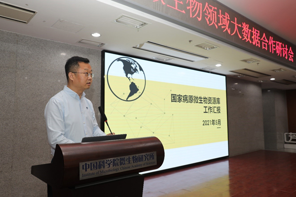 揭秘大乐透预测高手，科学、数据与直觉的完美融合