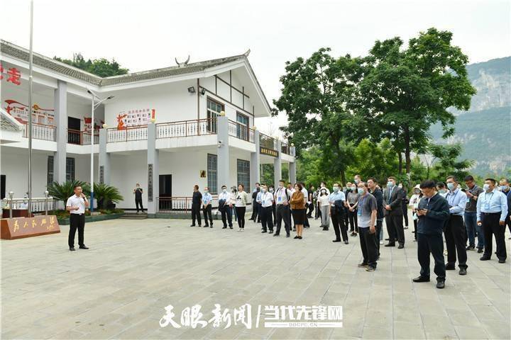 3D彩民乐图，探索数字背后的乐趣与智慧