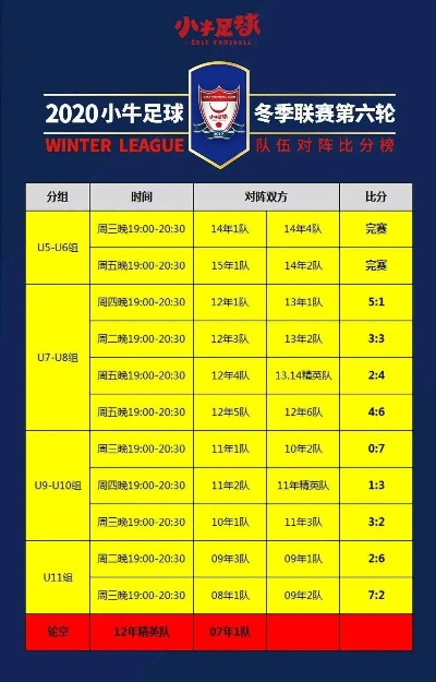 足球赛事风云，揭秘足球比分网即时比分直播捷报的魅力与价值