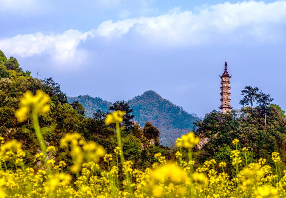 天空彩与你同行，共赴开奖天下的奇妙之旅