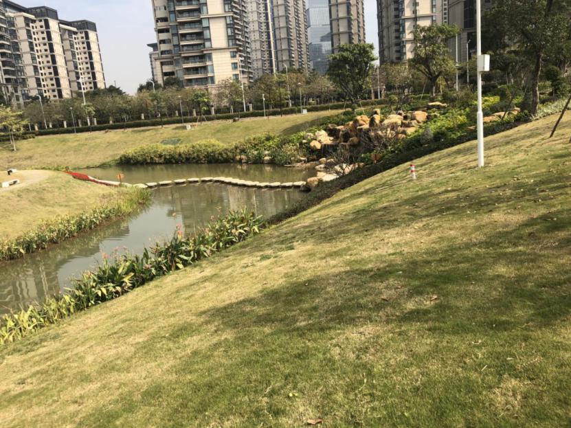 澳门六公彩，揭秘中奖概率与奖金数额