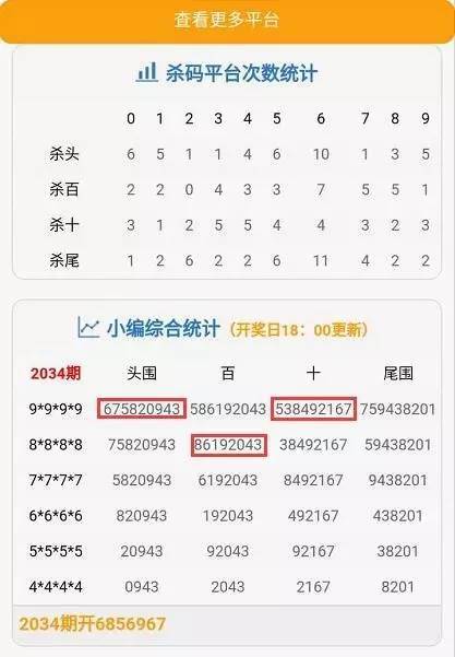 澳门六叔公精准12码开奖规则详解，揭秘背后的公平与随机