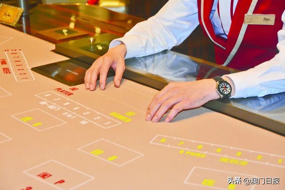 澳门六号码头走势图表最新版官方查询指南