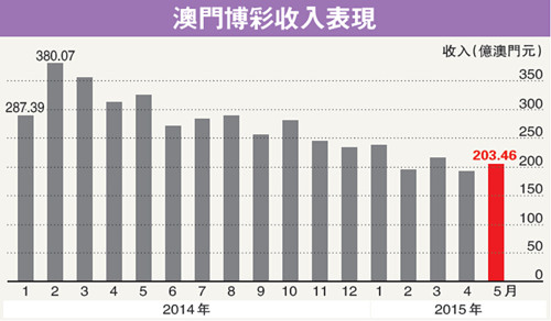 澳门六号码头走势图表最新版预测图片深度解析