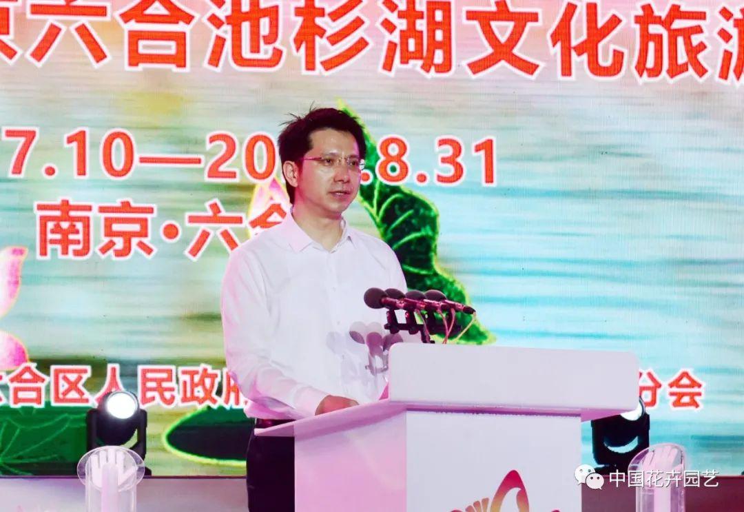 澳门六开走势图，深度分析与未来预测