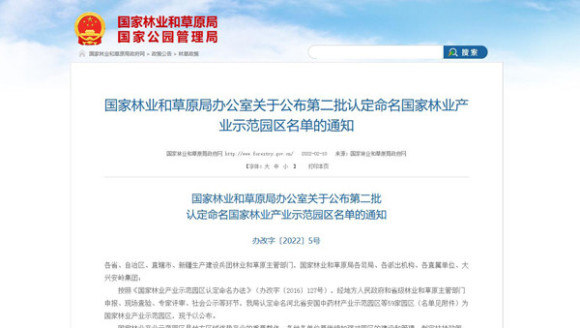 澳门六哥今日最新消息，新闻网站视频在线观看全攻略