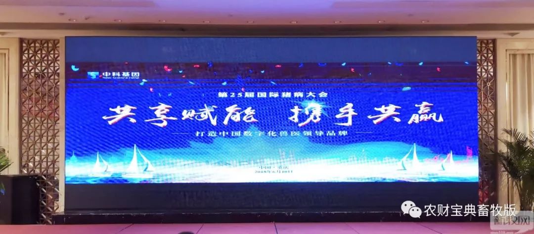 澳门六盒宝典2023年版，揭秘猜谜语新体验