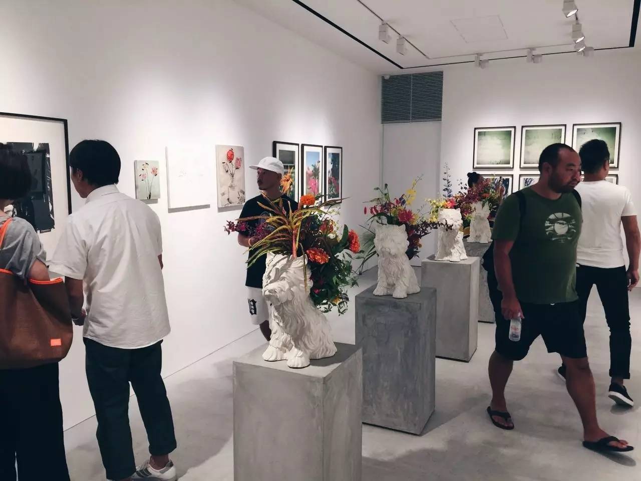 澳门六叔近期动态，独家视频报道与全面最新消息速递