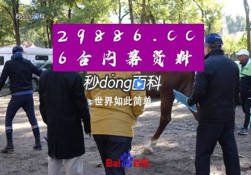 澳门六叔近期新闻直播在线观看完整免费版，透视澳门社区的最新动态