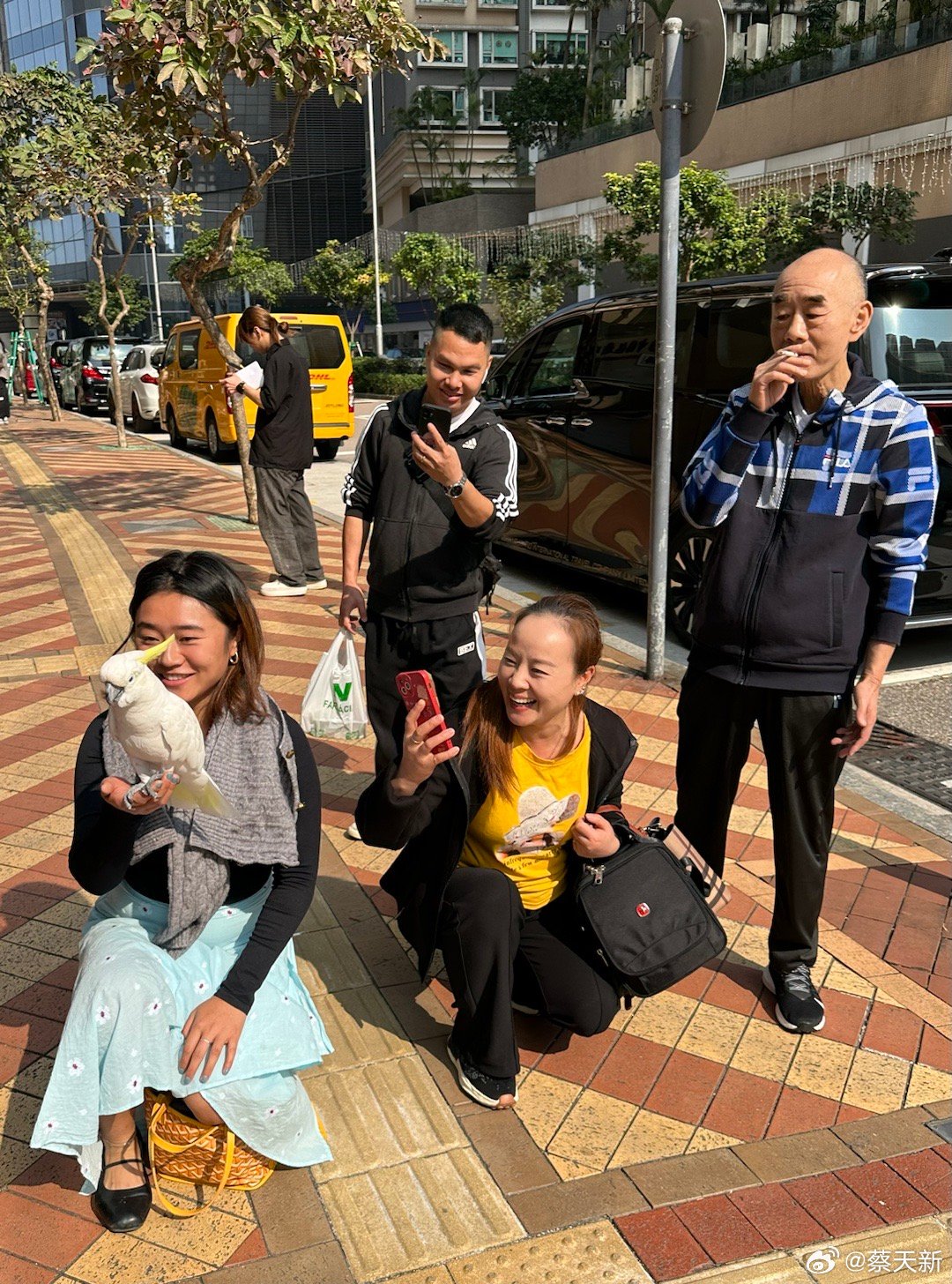 澳门六叔近期新闻事件回顾与视频最新版下载指南