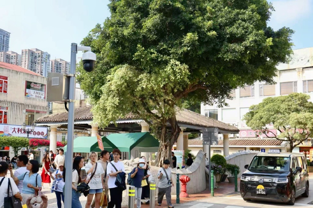 澳门六叔近期新闻视频完整播放，透视澳门社区的活力与变迁