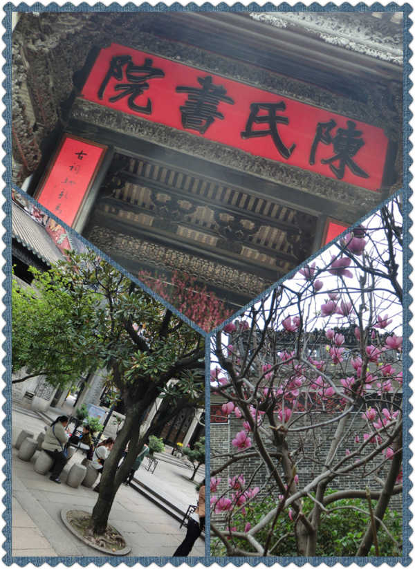澳门六叔近期动态，最新一期新闻视频揭秘赌城背后的温暖与变革