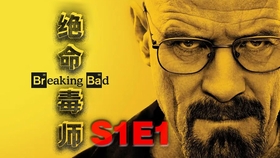 澳门六叔，昔日传奇与今日现状的深度剖析